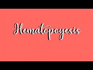 Hematopoyesis (Fisiología)