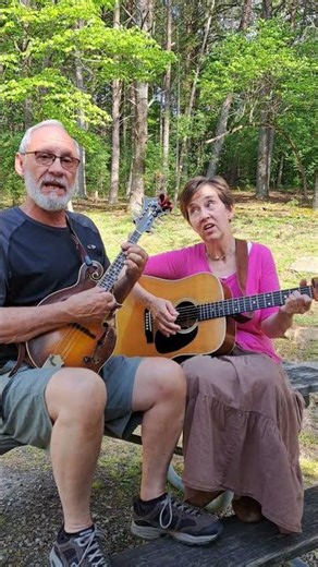 Scarborough Fair SHORT by Wild Blue Yonder band #traditionalmusic #britishisles #celticmusic