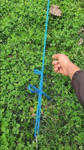 The best way to tie down a tent #diy #knots #hacks #tips #shorts #youtubeshorts
