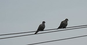 Vídeo de How TO en Pexels