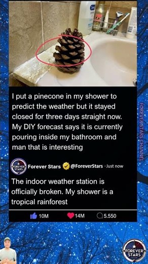 Why does finding patterns in random things make us feel so much in control?