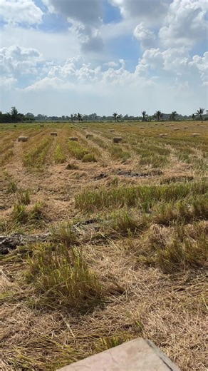 Minh Cảnh k1 trên TikTok