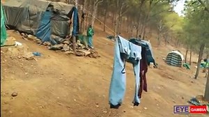 7K views · 88 reactions | Democracy Does Not Mean Plural Politics....