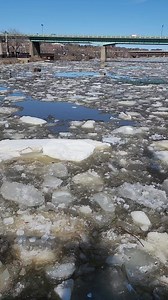 This is the Penobscot River in Bangor Maine. I was on the Bangor waterfront watching the ice flow down the river this afternoon 🧊 #Maine #ice #river #waterfront | Wayne Bishko