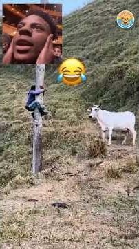 Cow vs Human Funny Moments! 😂🐮 #shorts #trending