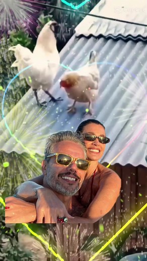 Passionate Graphic Design: Memes and More