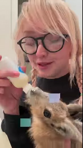 124K views · 4K reactions | Saving snakes at an apartment complex! I...