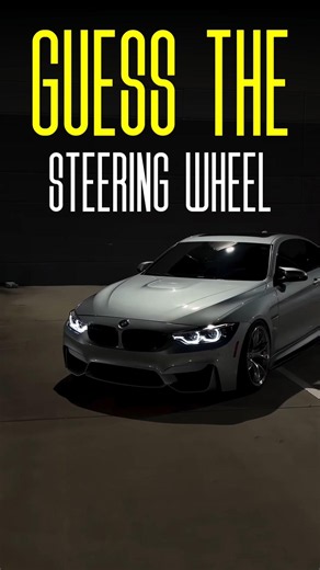Guess The Steering Wheel?