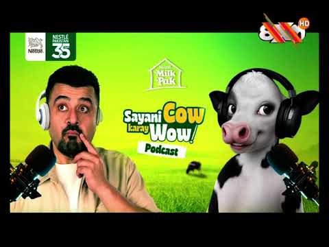 8XM HD - Advertisements 2025 - PakSat MM1