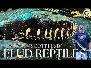 HOW TO SUCCESSFULLY BREED BOELENS PYTHON | TRAP TALK W/ FLUD REPTILES