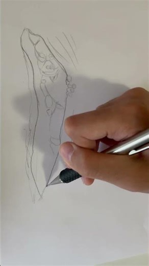 How to draw an illusion(Spring Trap)