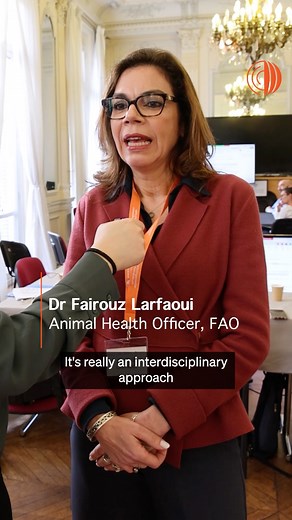 509K views · 2.1K reactions | What's one thing we wished everyone understood about #OneHealth? | World Organisation for Animal Health | Facebook