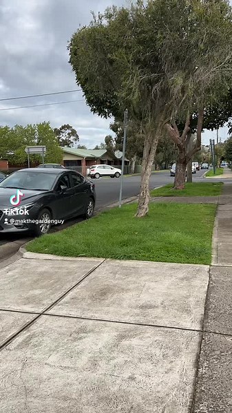 Does anyone else like watching the clouds during a time lapse vid? Also these lawns came out looking Mickey #lawnmaintenance #lawnmower #lawnmowing #lawnmowingbusiness #mowing #yardwork #lawntok #grasstok #edging #gardenmaintenance #hondamower #stihl #timelapse #trending #viral #mickey #mickeymouse #fyp #fyp #makthegardenguy