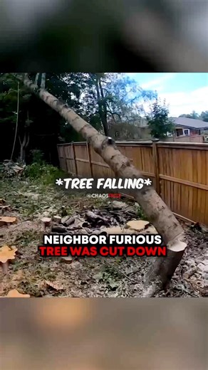 Neighbor FURIOUS Tree Was CUT Down 🤬🌲 Cred: @J@JesseSullivanYouTube