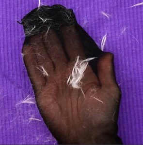 189K views · 50 reactions | Simple hacks you can do with tights  | Red Koala | Facebook