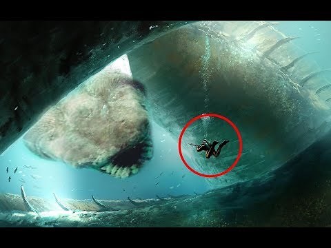 RAREST Sharks In The World!