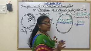 Development of Bilaminar Embryonic Disc