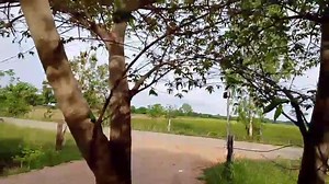 110K views · 2.6K reactions | ด่วน!! มีรายงานว่า...