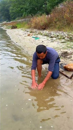 Giant Tortoise Catch | Smart Tortoise Catching Trick #shorts #trending #fishing