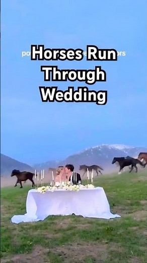 Horses Gallop Past Wedding Reception! 😍