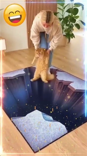 Watch Pets Lose Their Minds Over Fake Holes #shorts #opticalillusion