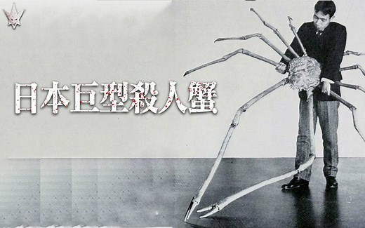 日本巨型杀人蟹，因核辐射而变异产生的怪物，至今已有数十名渔夫葬身口中，真相或许跟想像中的很不一样。|搬运_哔哩哔哩_bilibili