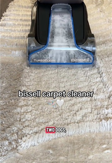 Bissell Carpet Cleaner Review — Best Carpet Cleaner Deal