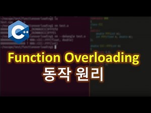 Understanding Function Overloading Correctly