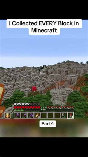 I Collected EVERY Block In Minecraft | minecraft