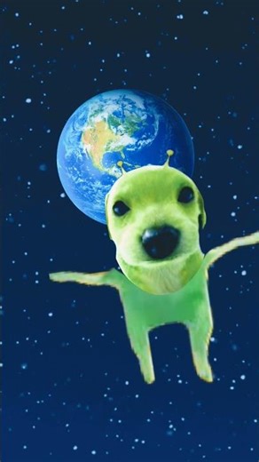 #memes #funny what is 9 + 10