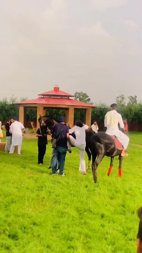 Interacting with Horses in Traditional Attire