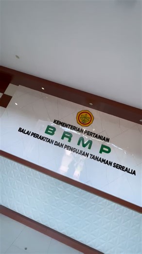 #wargaunwahas saat ini Unwahas, sedang dalam pelepasan jagung hibrida yang dirakit oleh Pemulia yang juga dosen Fakultas Pertaninan Unwahas, yaitu Dr. Heri Kustanto, Dr. Hilmi Arija Fachriyan dan Renan Subantoro, SP., MSc. Varietas jagung yang saat ini diuji sudah sampai tahap akhir dengan presentase lolos yang cukup tinggi loh ✨ Berita lengkapnya kamu bisa baca di www.unwahas.ac.id #pmbunwahas #kampusunwahas #unwahasaja | Universitas Wahid Hasyim