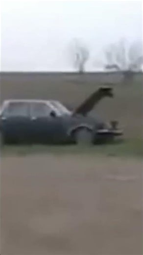 Half A Car, Watch the complete video on my Youtube channel and surprised where this song came from.