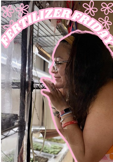 It all starts as a tiny seedling 🌱 Dear algorithm… help me find my flower people. 🌸 Azalea Field Flowers 📍 Culpeper, Virginia #flowerfarm #locallygrownflowers #flowerfarmer #culpeperva #cutflowers