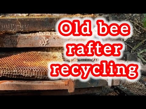 How We Rebuilt a Bee Rafter 🐝 Beekeeping DIY Hive Setup