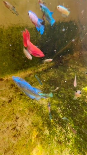 😍😍 | Aqua Adict