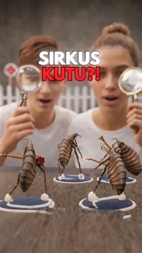 Trik di Balik Pertunjukan Kutu