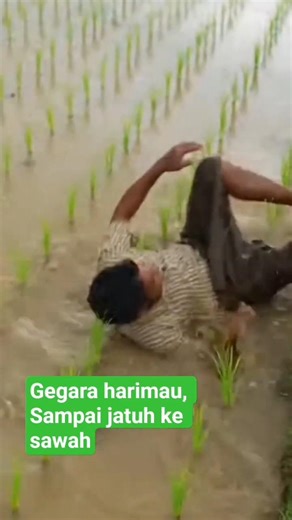 This is what happens when a tiger wants to prey on a cow #shortvideo #cow #predator