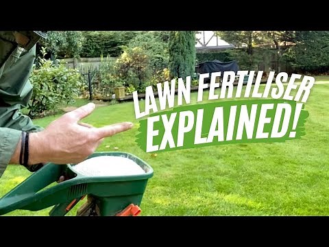 Fertilise Your Lawn - A Beginner's Guide To Lawn Fertiliser