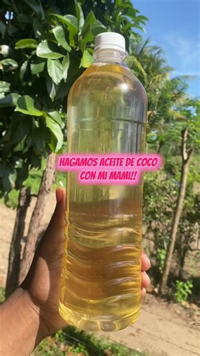 Cómo hacer aceite de coco en casa con mi mamá