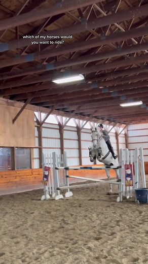 Discover the Joy of Riding Irish Horses