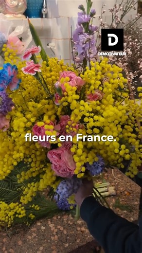 102K views · 2K reactions | Pas de roses rouges pour la Saint-Valentin ! | Demotivateur | Facebook