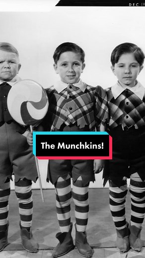 The truth about the Munchkins in The Wizard of Oz! 🍭 #wizardofoz #munchkins #judygarland