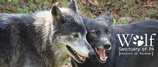 Things To Do in Lancaster PA in 2026 – 50  Attractions