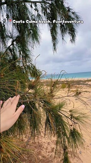 📍Costa Calma beach, Fuerteventura 🏝️ #Fuerteventura #Spain #travel #fyp #ForYou