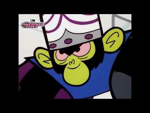 Powerpuff Girls The Beat Alls if you know is The Beatles🖤🤍