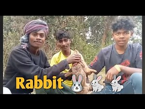 I Built DIY Rabbit Traps & కుందేలు ఉచ్చులు కట్టే విధానం.How To Make A Rabbit Snare Trap