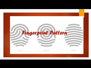 How to classify Fingerprint Patterns (Lesson 2)