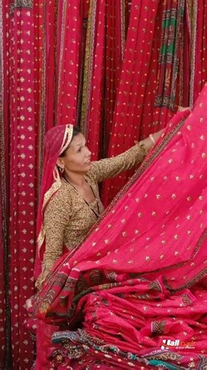 ✨ Rajasthan Luxury Desert Tour | Trip Matlab HALLMARK