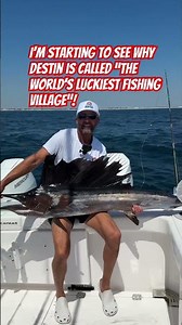 My first sailfish here in Destin! Only 1 mile offshore! #floridasportfishing #sailfish